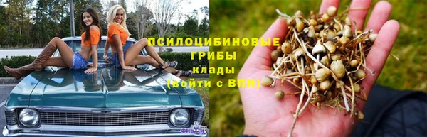 прущая мука Кукмор