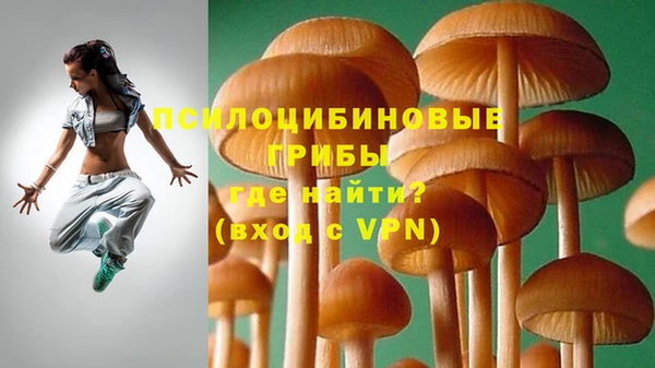прущая мука Кукмор